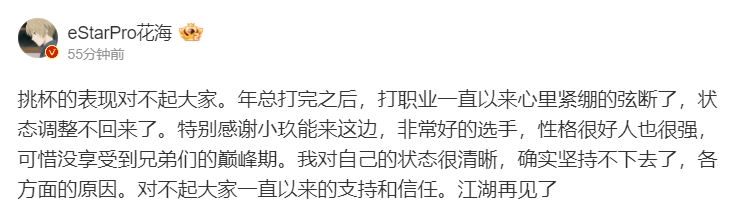 告别金牌梦想！亚运会冠军打野花海正式宣布退役，内心无奈再见了~