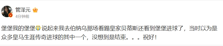 皇马铁粉管泽元谈阿扎尔退役：曾现场看到堡堡进球 却没想到是结束